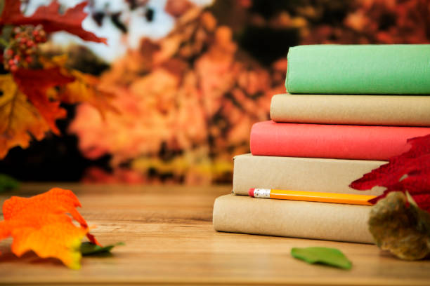 istock Back to school with book stack in autumn season. 843056534