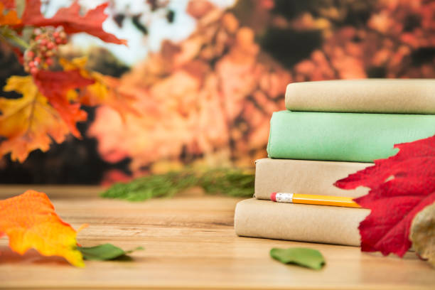 istock Back to school with book stack in autumn season. 843056672