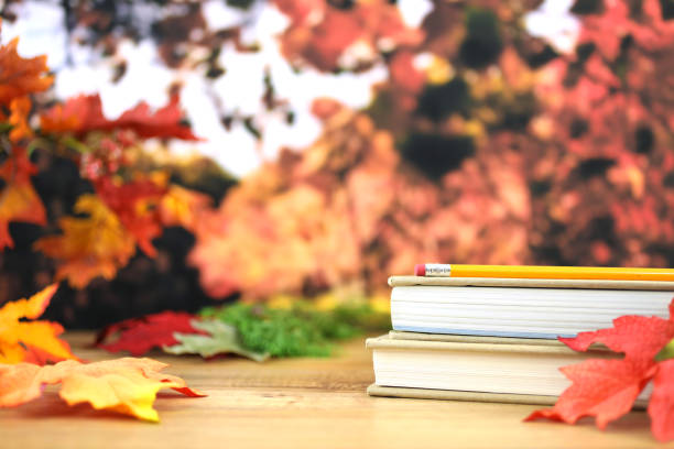 istock Back to school with book stack in autumn season. 843056782
