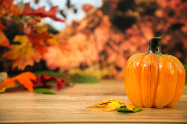 istock Autumn season background. 843056920