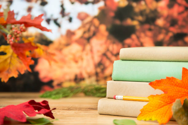 istock Back to school with book stack in autumn season. 843057014