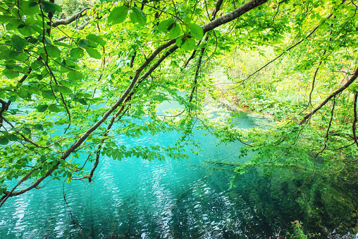 Plitvice Lakes UNESCO World Heritage Site.