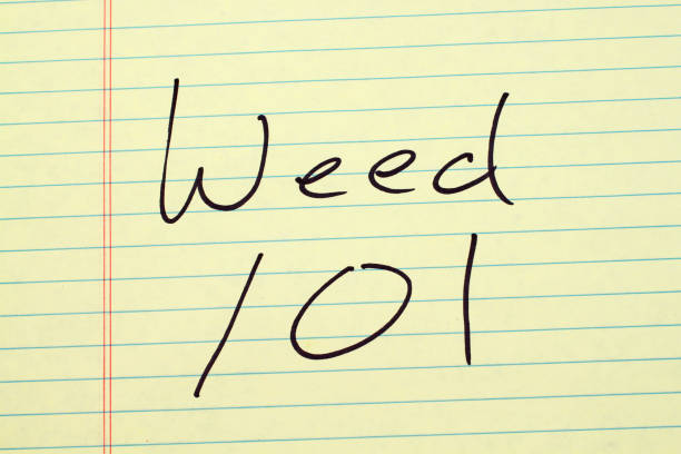 istock Weed 101 On A Yellow Legal Pad 843064784
