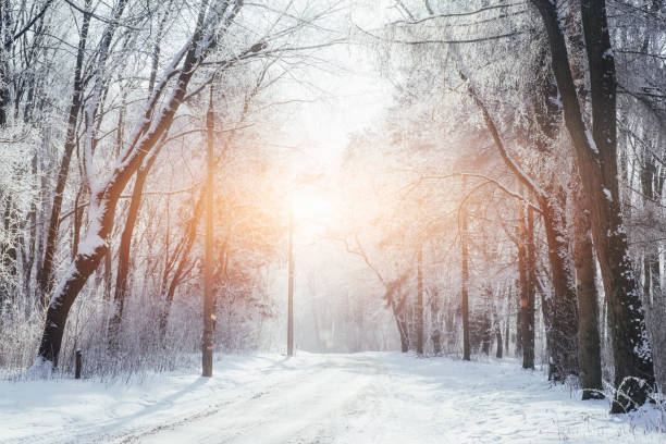 istock the winter road. Dramatic scene. Carpathian, Ukraine, Europe. 843067430