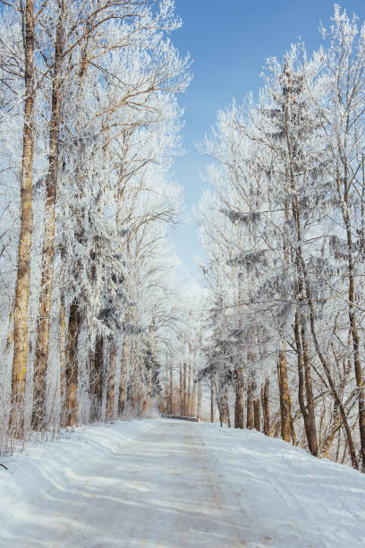 istock the winter road. Dramatic scene. Carpathian, Ukraine, Europe. 843067932