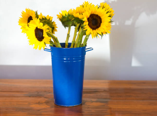 Bright Blue Vase of Sunflowers on Rustic Wood Table