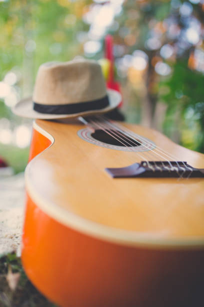 Acoustic Guitar, Grass, Guitar, Musical Instrument, Hat