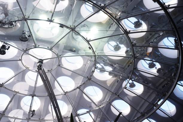 istock Ceiling of the butterfly garden 843082394