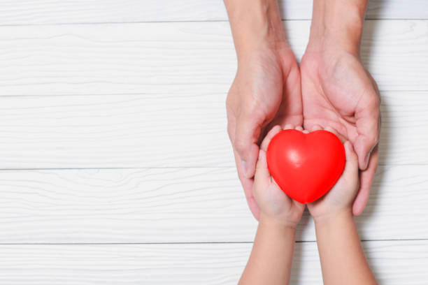 de fête pères et la fête des mères. les mains fils soutenant coeur rouge. - heart shape human hand charity and relief work giving photos et images de collection