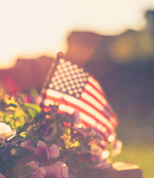 Patriotic American flag background with flowers and sun flare Patriotic American flag background with flowers and sun flare american flag flowers stock pictures, royalty-free photos & images