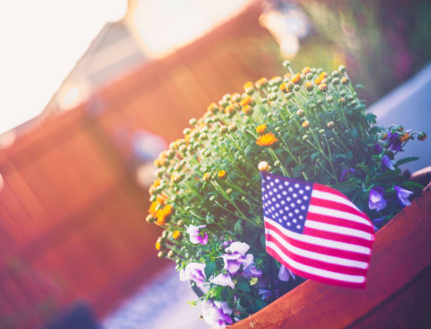 istock Patriotic American flag background with chrysanthemums 843095644