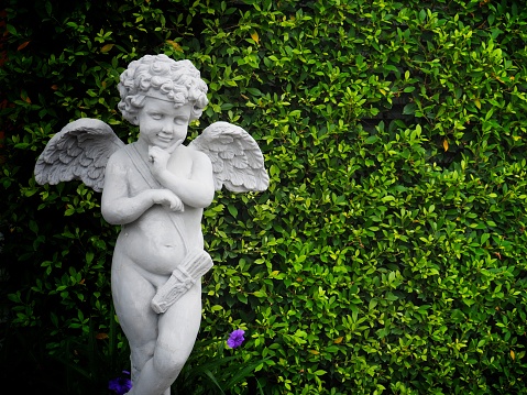 Girl dressed as an angel on the background of a forest lake