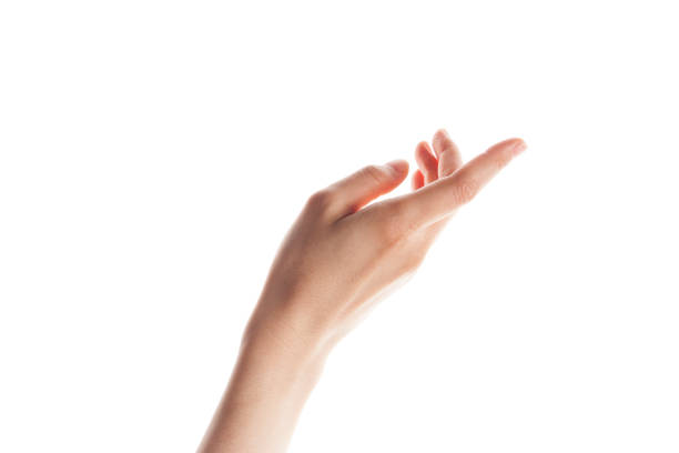 空白スペースの分離を持っている美しい女性の手 - human hand reaching human arm gripping ストックフォトと画像