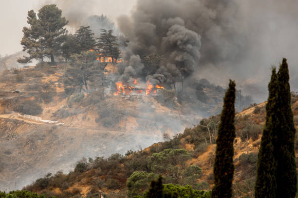 traînée de poudre la tuna à los angeles, en californie, brûlant une structure - fireball orange flame burnt photos et images de collection