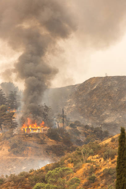 istock La Tuna wildfire in Los Angeles, CA burning a structure 843098424
