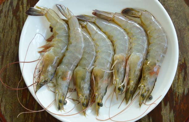 istock raw shrimp ingredient food on white plate 843102576