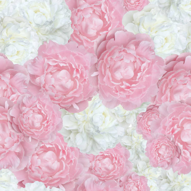 istock pattern  trendy  pale pink  and white peonies 843106276