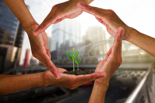 istock Man's hands around young green sprouts isolated on blurred city background with soft sunlight, environmental concept 843111602