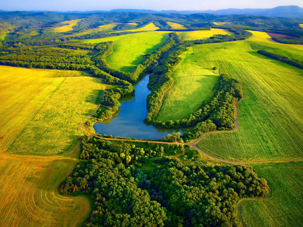 just a photo of nature
