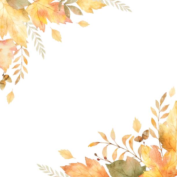 Watercolor vector frame of leaves and branches isolated on white background. Watercolor vector frame of leaves and branches isolated on white background. Autumn illustration for greeting cards, wedding invitations, quote and decorations. autumn backgrounds stock illustrations