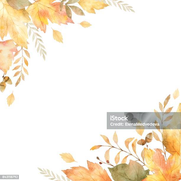 Watercolor Vector Frame Of Leaves And Branches Isolated On White Background Stock Illustration - Download Image Now