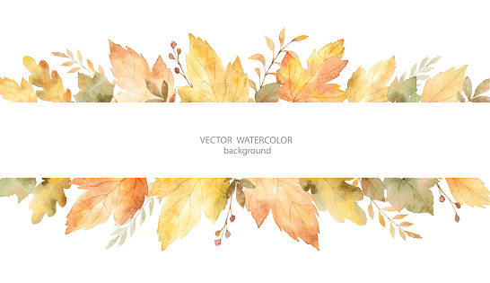 Watercolor vector banner of leaves and branches isolated on white background. Autumn illustration for greeting cards, wedding invitations, quote and decorations.