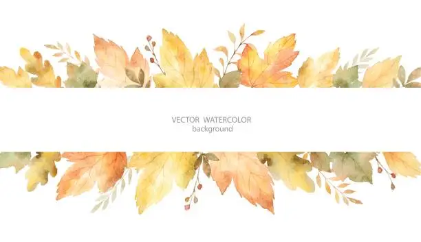 Vector illustration of Watercolor autumn vector banner of leaves and branches isolated on white background.