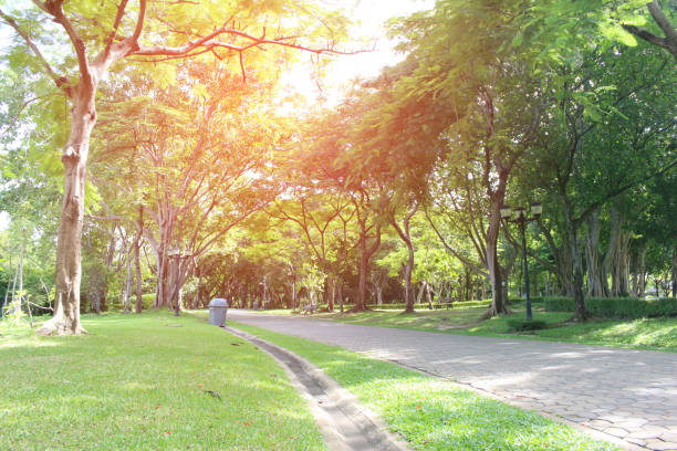 istock Stone Pathway in the Green Park with burst light 843120588