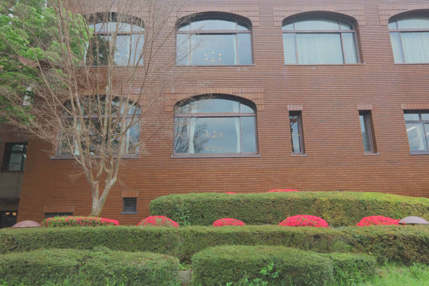 A view of a garden fence with tall canopy plants in concrete pots near a gray office building filled with glass windows with blurred foregrounds.