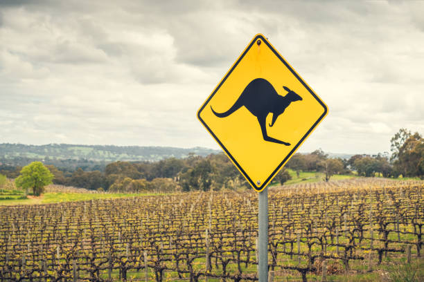 Kangaroo road sign in Australia Kangaroo road sign on a side of a road in  Adelaide Hills wine region, South Australia road panoramic scenics journey stock pictures, royalty-free photos & images