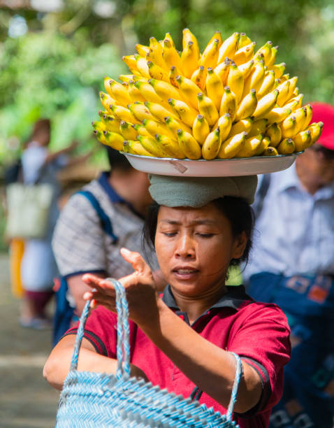 Woman carrying bananas on top of her head in the city of Ubud, Bali, Indonesia, during a hot day in the tropics.