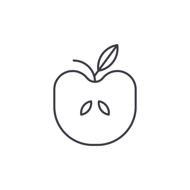 Apple with thin line icon. Linear vector symbol Apple thin line icon. Linear vector illustration. Pictogram isolated on white background apple with bite out of it stock illustrations