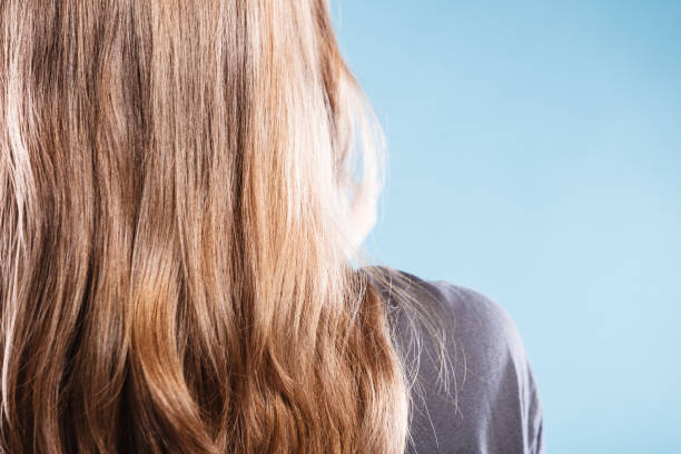 istock Female with straight brown hair back view on blue 843134094