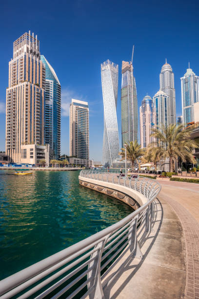 istock Dubai Marina in Dubai, United Arab Emirates 843134170