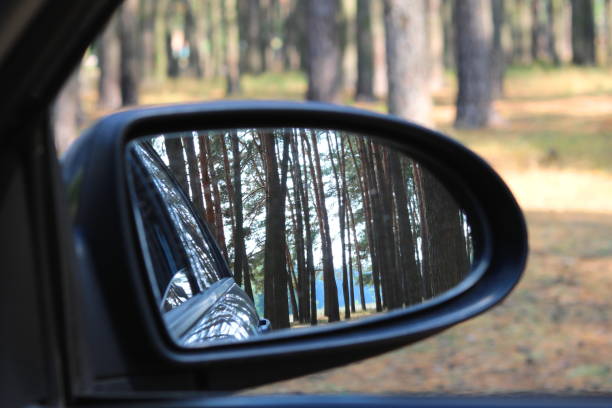 istock Lateral car mirror with picture of summer pine forest 843140066