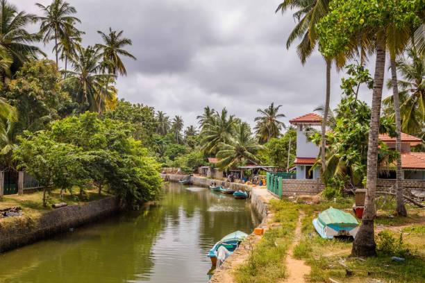 paesaggio canale olandese a negombo, sri lanka - dutch colonial foto e immagini stock