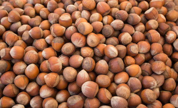 istock hazelnuts photo, hazelnuts background, raw nuts, nuts shell, hazelnuts pile, hazelnuts for sale, 843148836