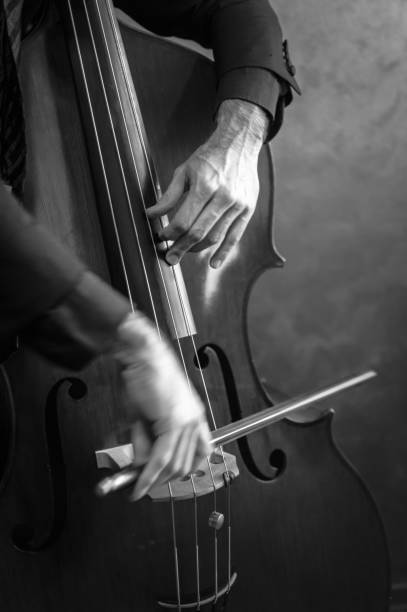 istock Double bass in place 843151400
