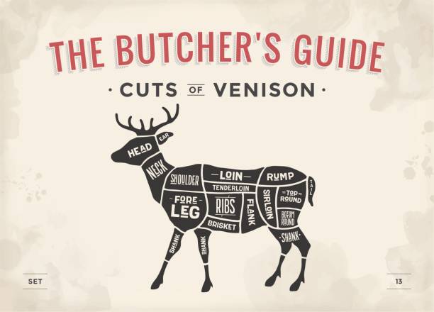 ilustrações de stock, clip art, desenhos animados e ícones de cut of meat set. poster butcher diagram, scheme - venison - venison