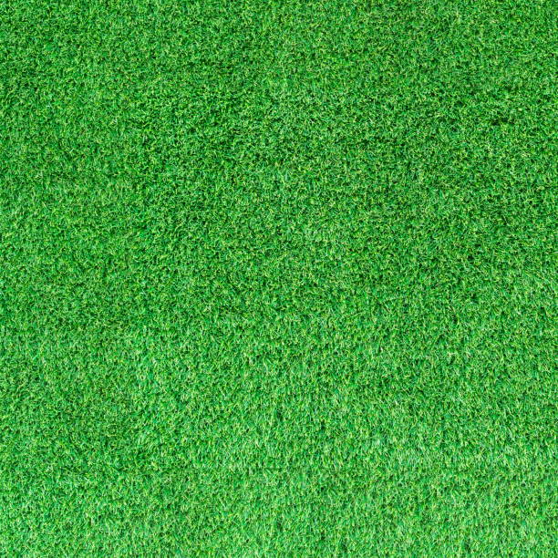istock Artificial green grass texture for golf course. soccer field or sports background concept design. 843161190