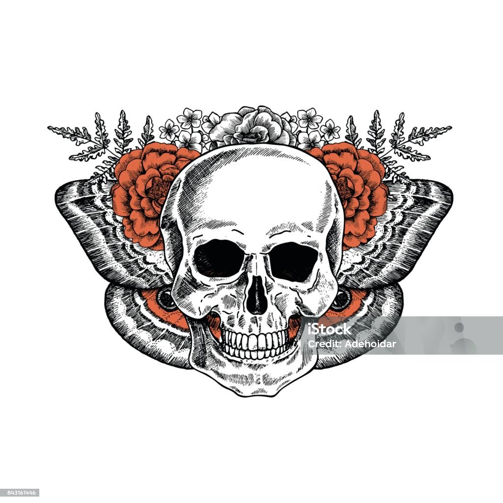 Ilustración de Dibujo De Calavera Vintage Floral Mariposa Halloween Esqueleto Humano Ilustración De Vector y más Vectores Libres de Derechos de Arte - iStock Ilustración de Dibujo De Calavera Vintage Floral Mariposa Halloween Esqueleto Humano Ilustración De Vector y más Vectores Libres de Derechos de Arte - iStock