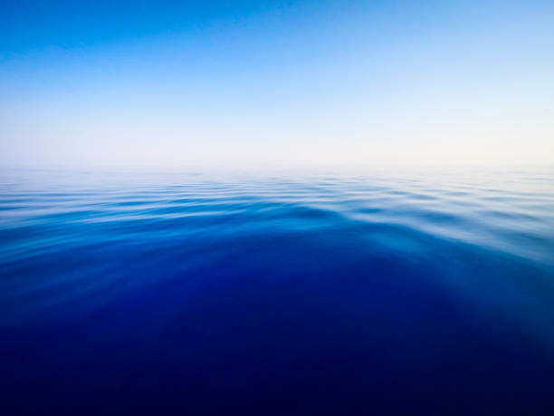 istock calm sea water background - sea in summertime 843172882