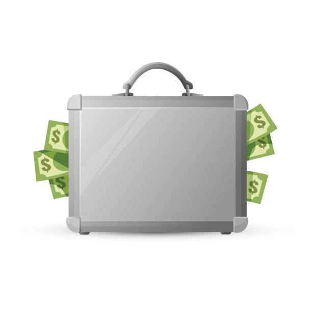 ilustrações de stock, clip art, desenhos animados e ícones de icon of metal briefcase with money isolated on white - stuffed