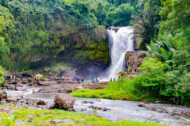 istock Waterfall in the deep rainforests of Bali 843181694