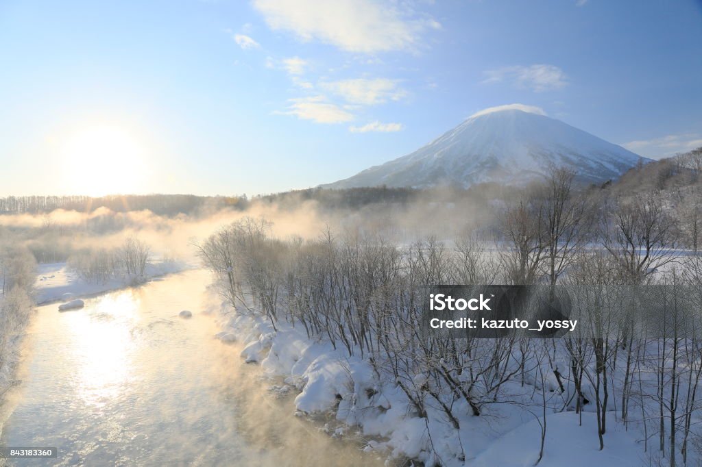 Trees with frost and Mt.Yotei I saw trees painted silver with frost and Mt.Yotei at Niseko in Japan. Hokkaido Stock Photo