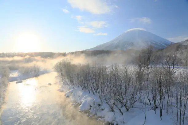 I saw trees painted silver with frost and Mt.Yotei at Niseko in Japan.