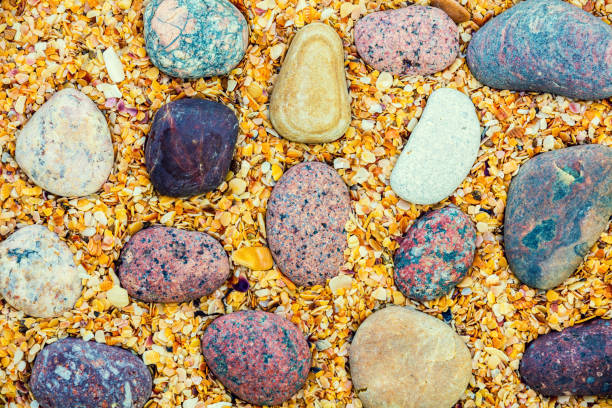 Abstract natural background. Pebbles on coquina shells