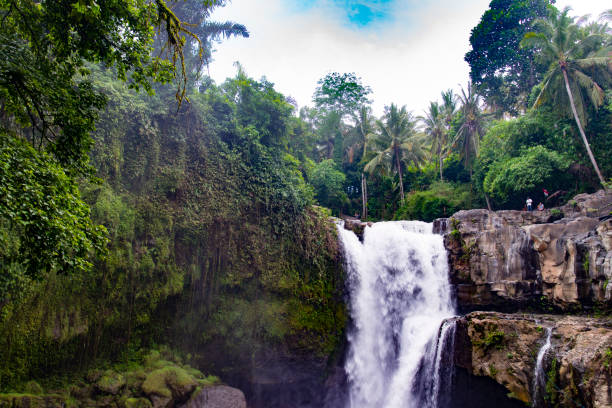 istock Waterfall in the deep rainforests of Bali 843189650