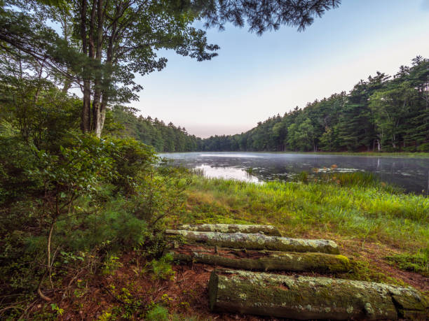 istock rural lake in Sullivan county 843193398