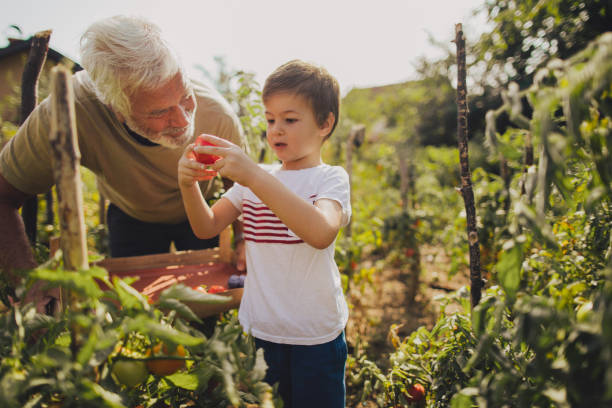 istock Our organic garden 843197514